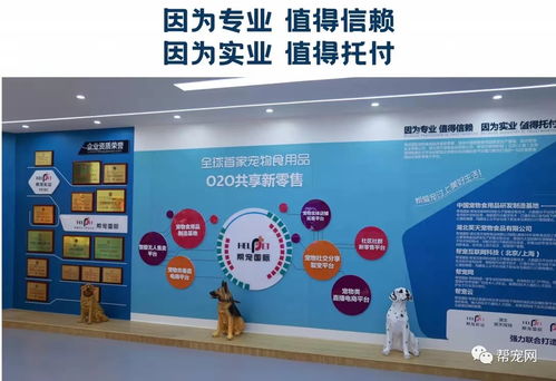 国内首家宠物食用品o2o智慧新零售,受到市场高度热捧